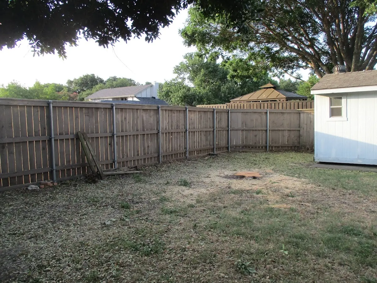 Cleared yard after professional tree removal in Dunbar