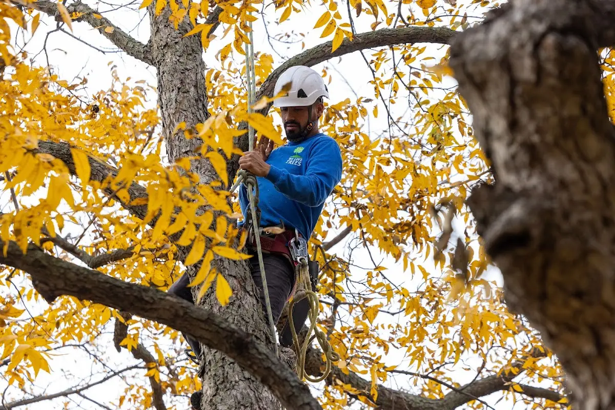 Skilled Storm Damage Cleanup crew working in Dunbar